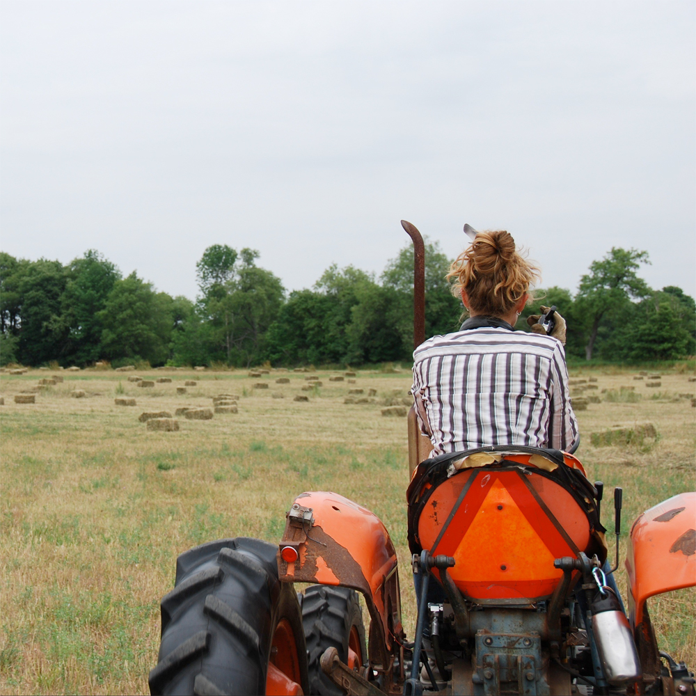 person on a small tractor in a field