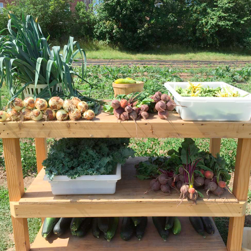 wooden table outdoors with a variety of vegetables on it