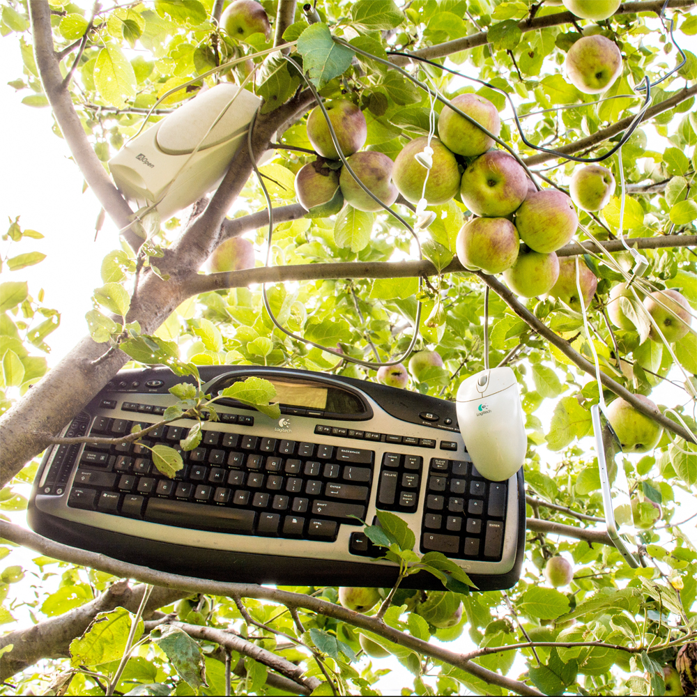 apples, a computer keyboard, mouse, and speaker in the branches of a tree