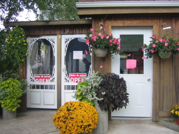 front doors of a small shop with potted plants outside