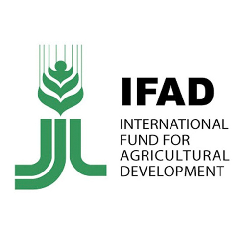 logo of the International Fund for Agricultural Development