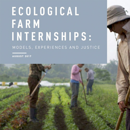 cover image of Ecological Farm Internships report