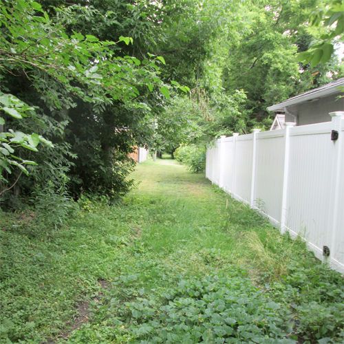 a verdant alleyway in Windsor, Ontario